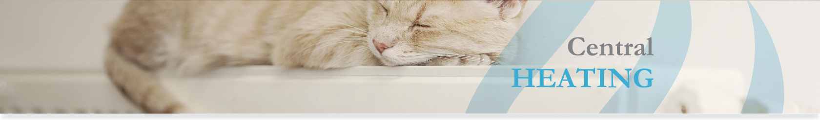 Central Heating South Croydon